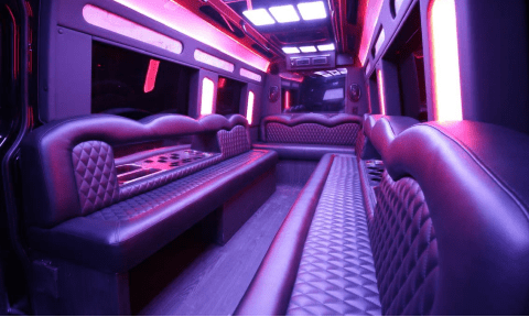 Lake Charles 14 Passenger Sprinter Bus Interior