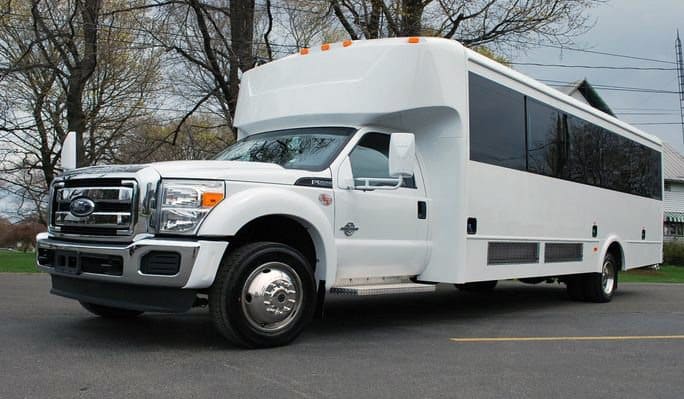 Lake Charles 20 Passenger Party Bus