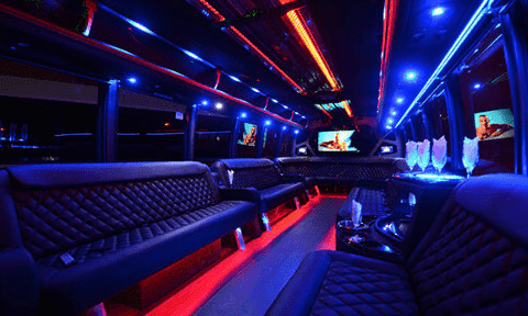 Lake Charles 30 Passenger Party Bus Black Interior